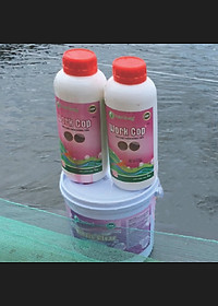 product-img-1