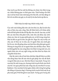 product-img-12