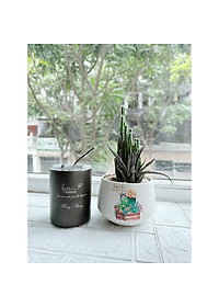product-img-10