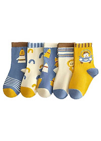 product-img-6