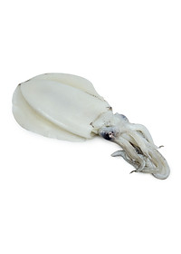product-img-5