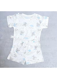 product-img-11