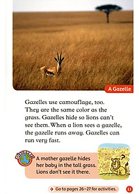 product-img-10