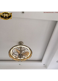 product-img-5