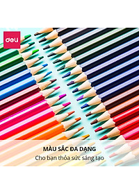 Bút chì màu chuyên nghiệp dạng cốc Deli 24/36/48 màu - 68123/68124/68125