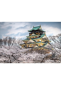 Bộ tranh xếp hình cao cấp 330 mảnh ghép – Lâu Đài Osaka