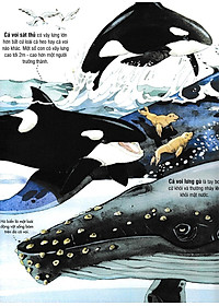 Sách Tương Tác - Big Book - Cuốn Sách Khổng Lồ Về Các Loài Động Vật Biển (Tái Bản 2018)