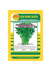 Hạt giống rau cần cọng xanh Pascal - cần tây VTP82
