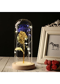 product-img-1