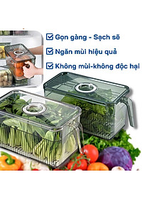 Hộp Đựng Thực Phẩm 3L Có Nắp Tách Nước Và Tay Cầm Tiện Lợi – Hộp Bảo Quản Đồ Ăn Tủ Lạnh - Hộp Lạnh - HÀNG CHÍNH HÃNG MINIIN