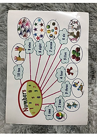 product-img-8