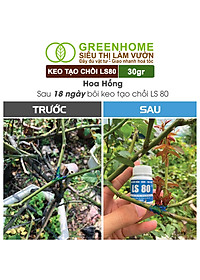 Keo Tạo Chồi LS80, Greenhome, Hũ 30gr, Tạo Mầm Tại Vị Trí Bất Kỳ, Có Chọn Lọc, Không Suy Cây, Đen Chồi