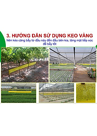 product-img-9