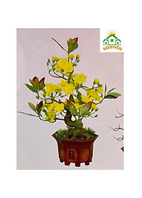 product-img-5