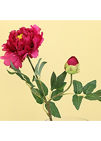 product-img-17