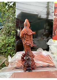 product-img-1