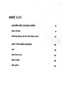 Sách 3D: Những Loài Thú Lớn Họ Mèo