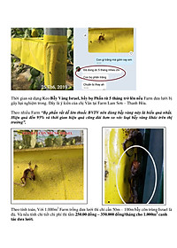 product-img-9