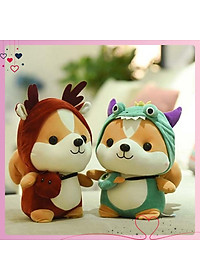 product-img-5