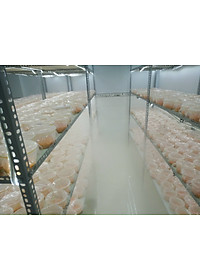 product-img-7