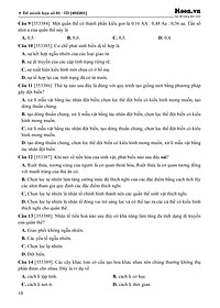 product-img-10