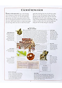 product-img-4
