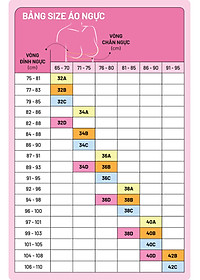 Combo 2 áo ngực demi mút vừa ren iBasic VA086