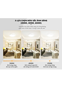 product-img-7