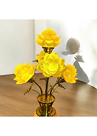 product-img-6