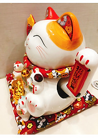 product-img-14