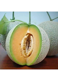 Combo 6 gói hạt giống dưa hấu dưa lưới các loại - tặng 1 gói phân bón