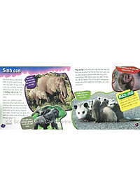 Sách Độc Lạ Phi Thường - Thú Con Bé Bỏng