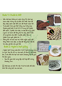 Hạt Giống Mồng Tơi Cao Sản Mồng Tơi Lá To Dễ Trồng,Giàu Dinh Dưỡng - Phú Nông Seeds 15Gr