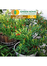 Hạt Giống Ớt Chỉ Thiên Greenhome, Gói 1gr, Sai Trái, Siêu Cay, Dễ Trồng Quanh Năm, Nảy Mầm Cao, Thu Hoạch Nhanh G10