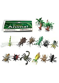 product-img-8
