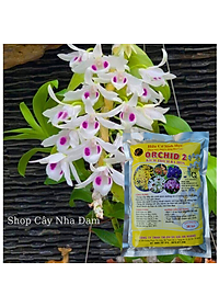 Phân Bón Kích Thích Ra Hoa Cho Lan, Cây Cảnh, Dưỡng Cây, Phân Tan Chậm