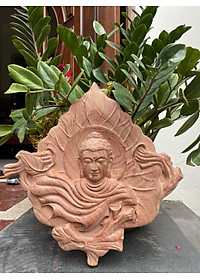 product-img-1