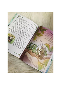 product-img-4