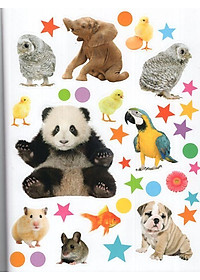 product-img-6