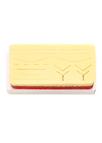 Bộ dụng cụ thực hành khâu da chấn thương ở người Human Traumatic Skin Suture Practice Pad