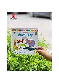product-img-6