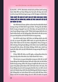 product-img-10