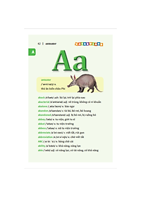 Sách 5500 từ vựng tiếng Anh thông dụng nhất (bản màu) - tái bản