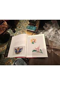 product-img-4
