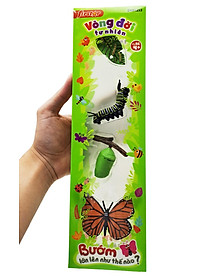 product-img-7