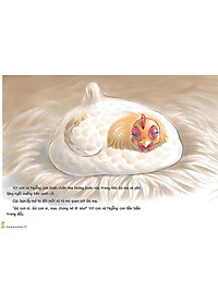 product-img-10