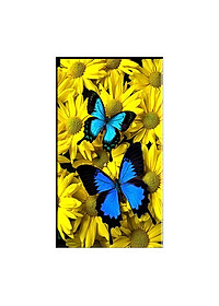 product-img-0