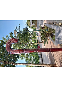 Gậy batoong gỗ trạm đầu rồng cho người già