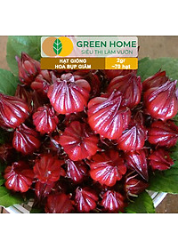 product-img-5