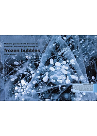 Periodic Table: Facts At Your Fingertips (Pocket Eyewitness)